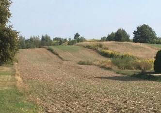 działka na sprzedaż - Godów
