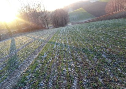 działka na sprzedaż - Mszana, Połomia